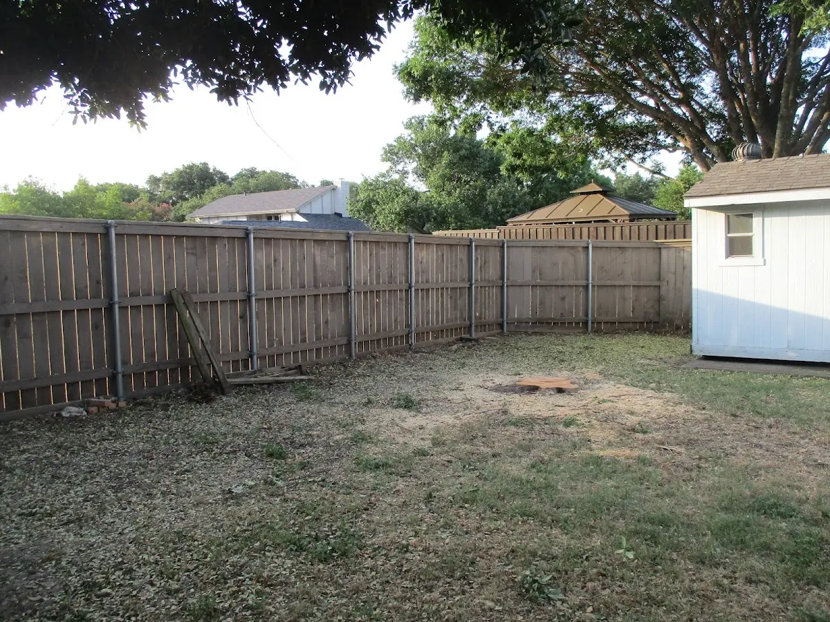 Cleared yard after professional tree removal in Jeffersonton